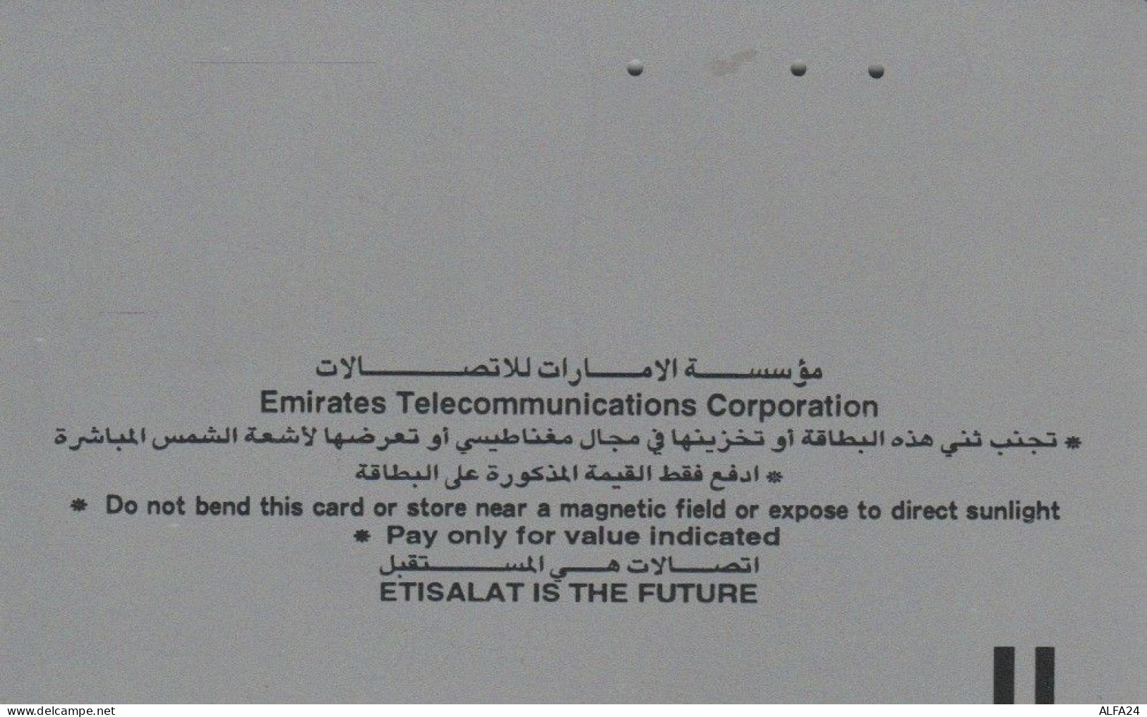 PHONE CARD EMIRATI ARABI  (E94.13.1 - Ver. Arab. Emirate