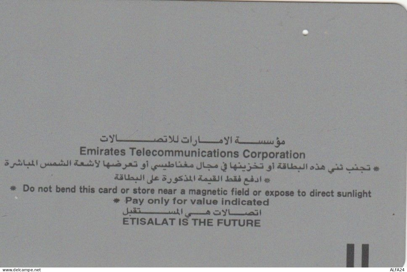 PHONE CARD EMIRATI ARABI  (E94.12.3 - Emirati Arabi Uniti