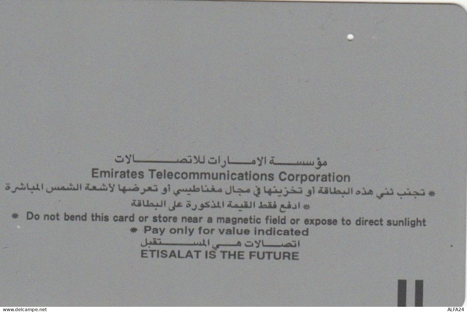 PHONE CARD EMIRATI ARABI  (E94.12.3 - Ver. Arab. Emirate
