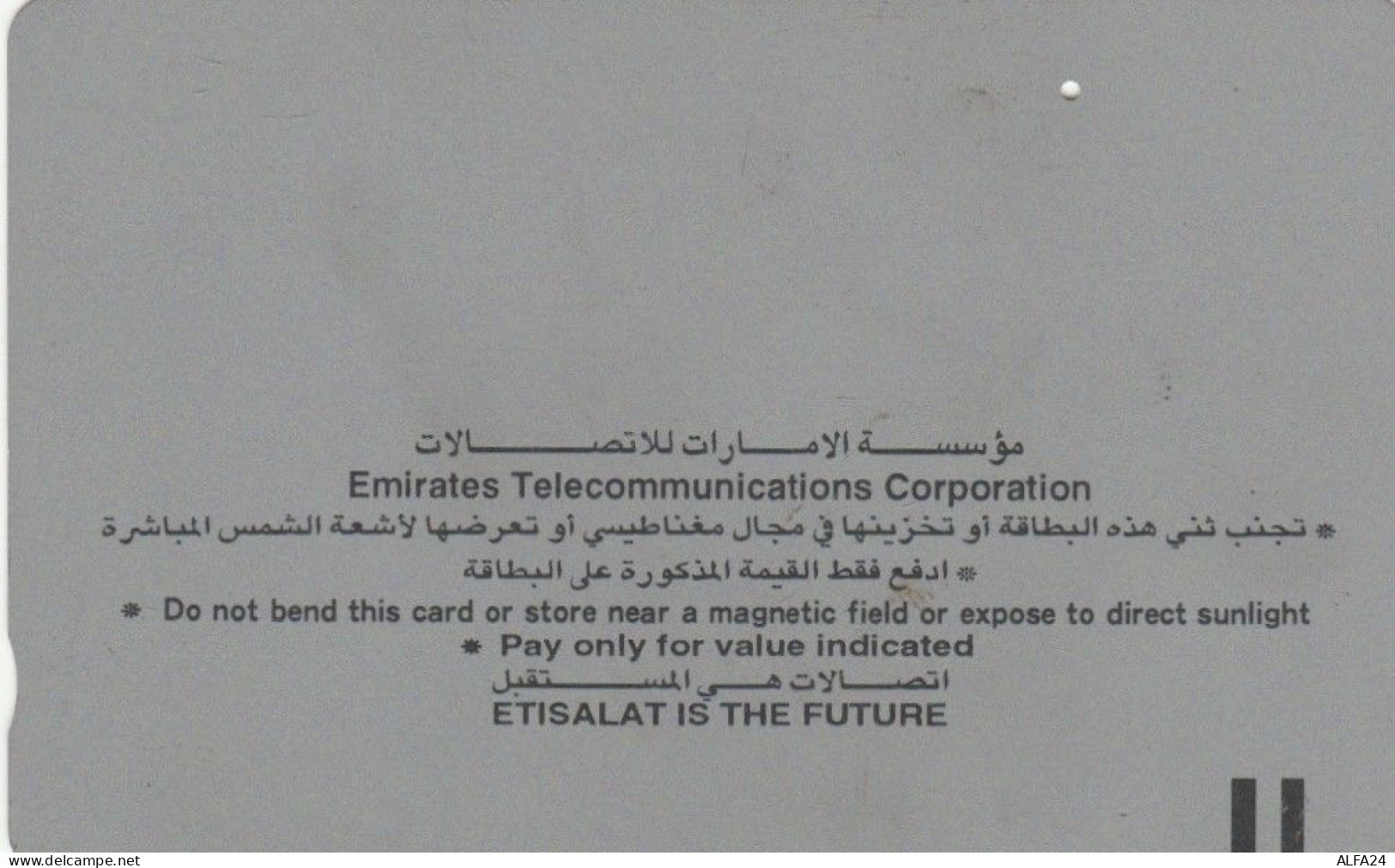 PHONE CARD EMIRATI ARABI  (E94.11.6 - Emirati Arabi Uniti