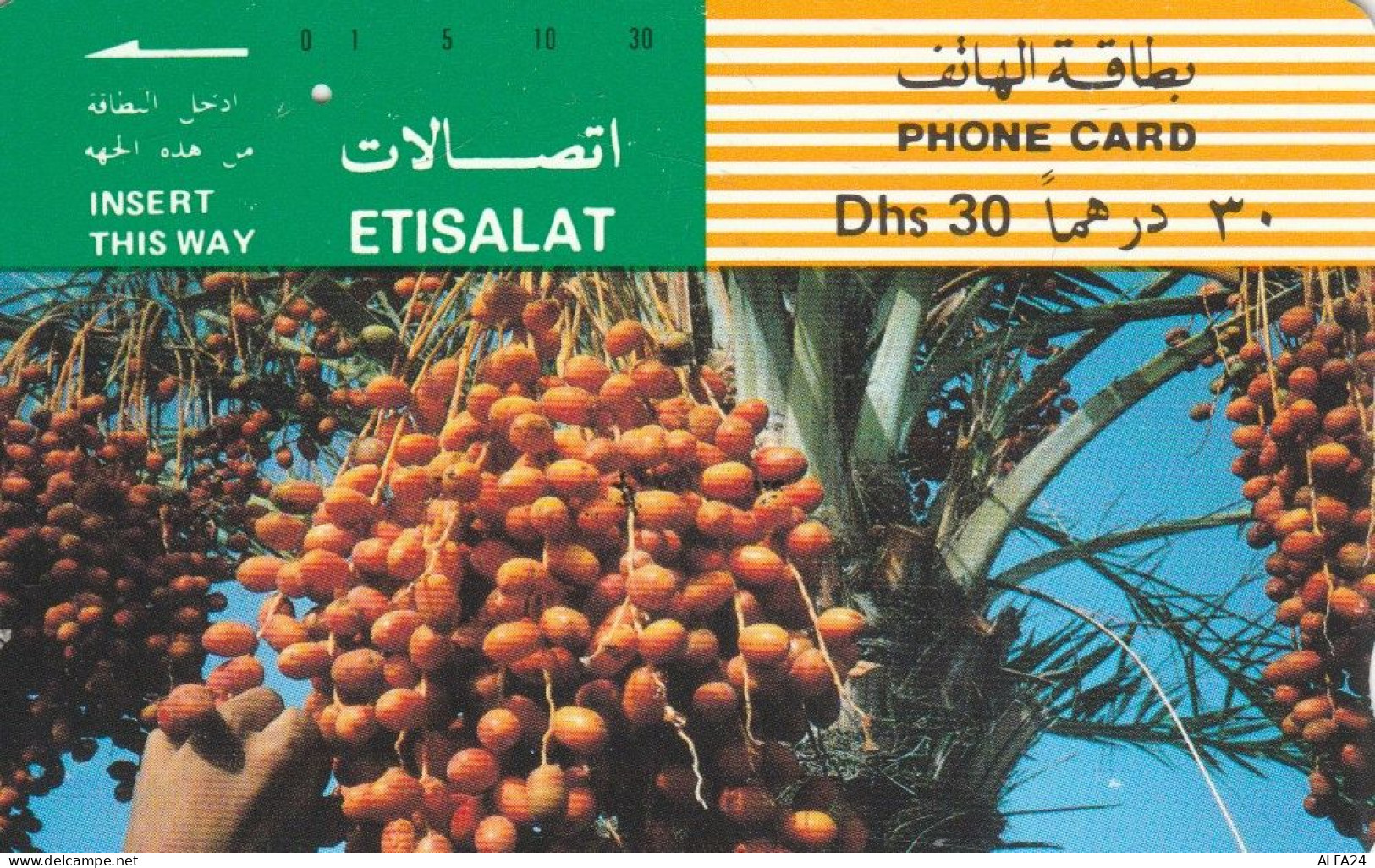 PHONE CARD EMIRATI ARABI  (E94.10.3 - Ver. Arab. Emirate