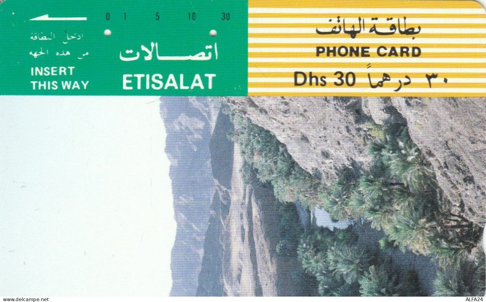 PHONE CARD EMIRATI ARABI  (E94.11.3 - Ver. Arab. Emirate