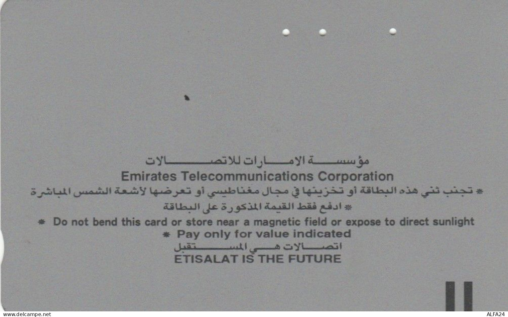 PHONE CARD EMIRATI ARABI  (E94.10.8 - United Arab Emirates