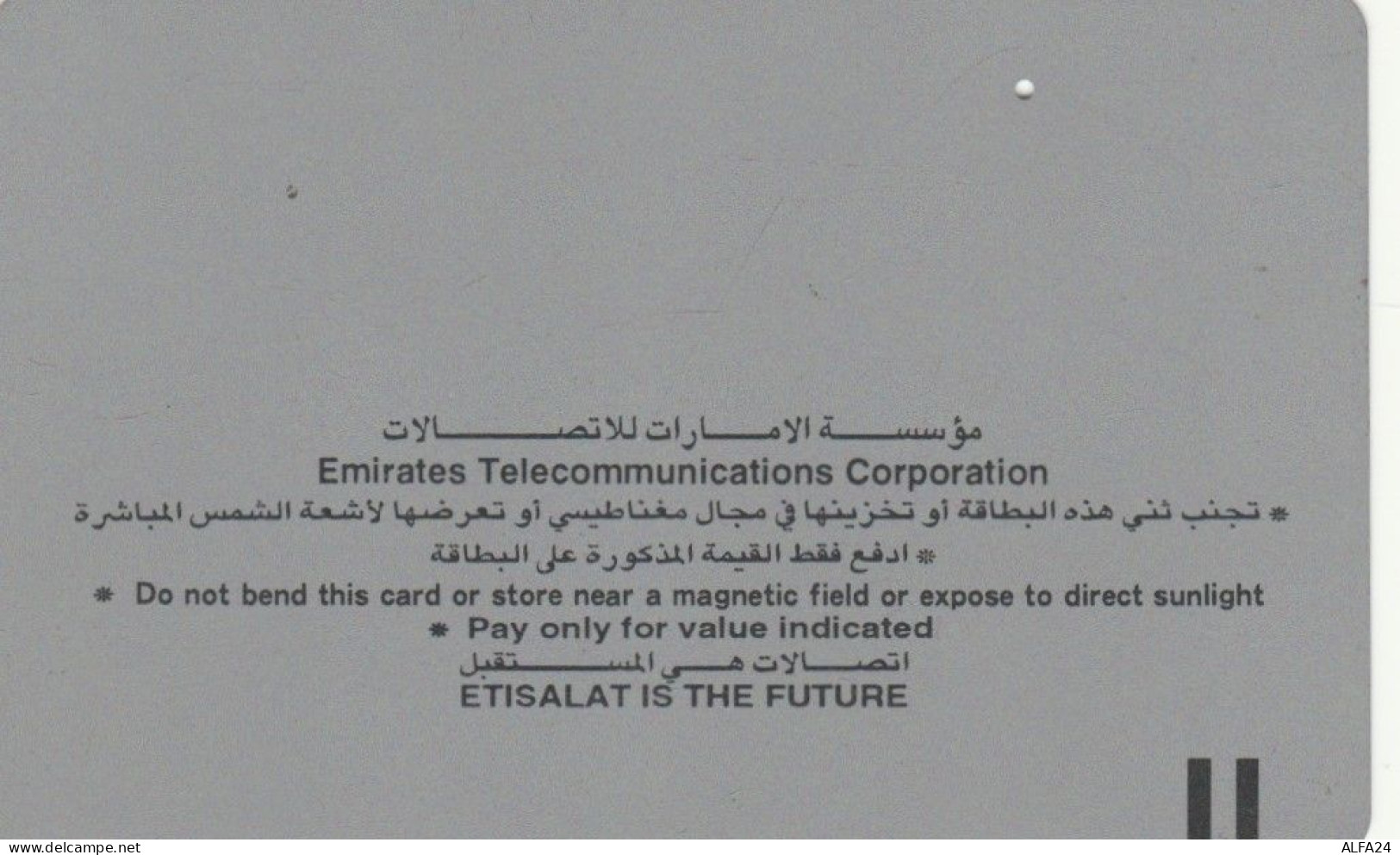 PHONE CARD EMIRATI ARABI  (E94.10.6 - Emirati Arabi Uniti