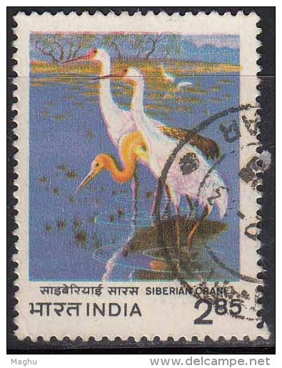 India Used 1983, Crane Workshop, Bird,  (sample Image) - Usati