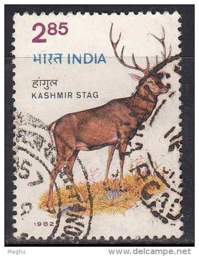 India Used 1982, Wildlife Week, Red Deer, Kashmir Stag, Wild Life, Animal  ,  (sample Image) - Gebraucht