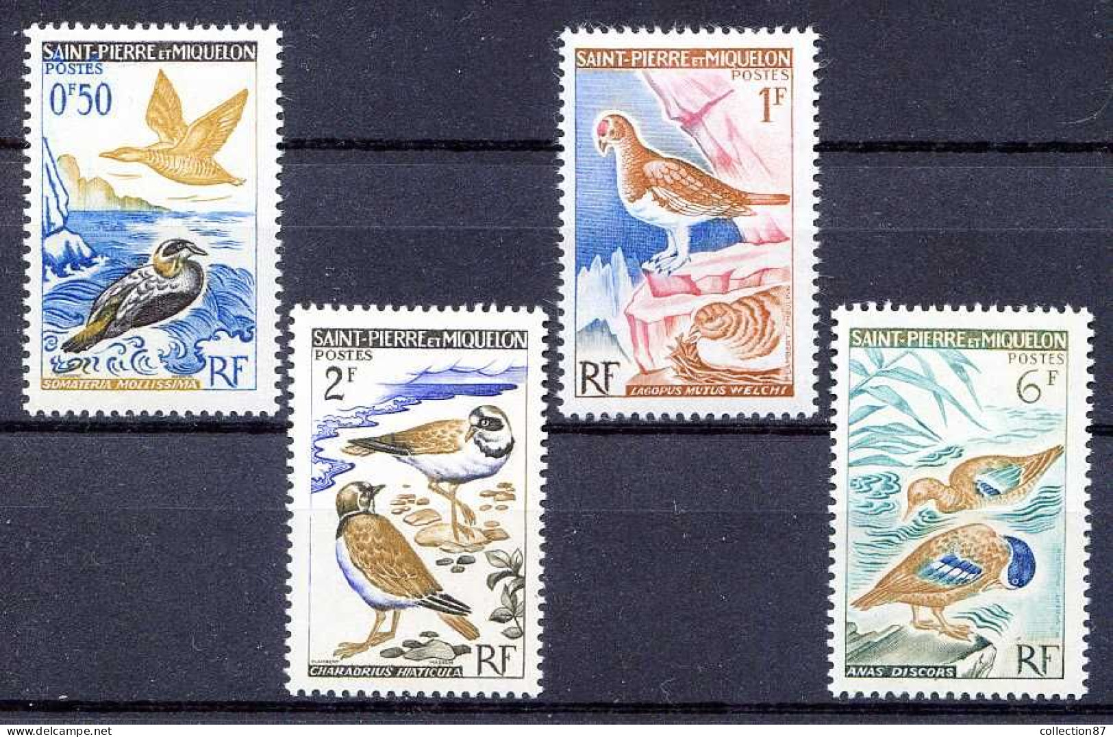 Réf 79 < SAINT PIERRE Et MIQUELON < Yvert N° 364 à 367 * MH * < Cote 8.80 € --- Eiders Sarcelles Gravelots Lagopedes - Unused Stamps