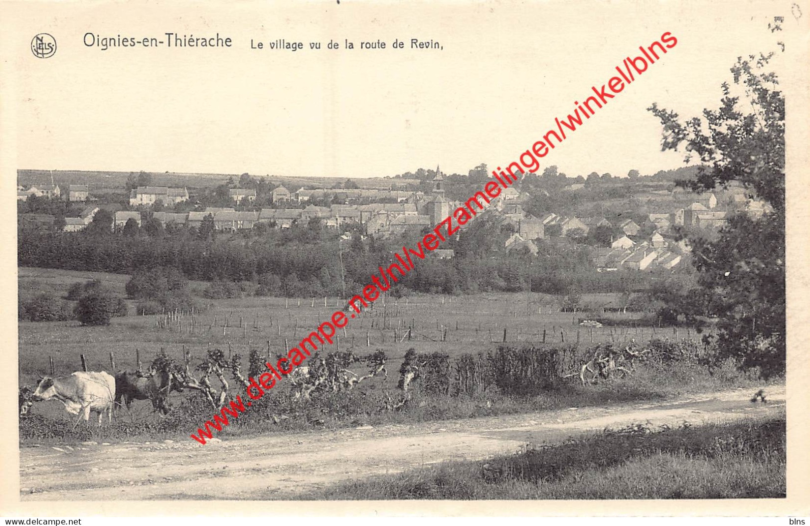 Le Village Vu De La Route De Revin - Oignies-en-Thiérache Viroinval - Viroinval