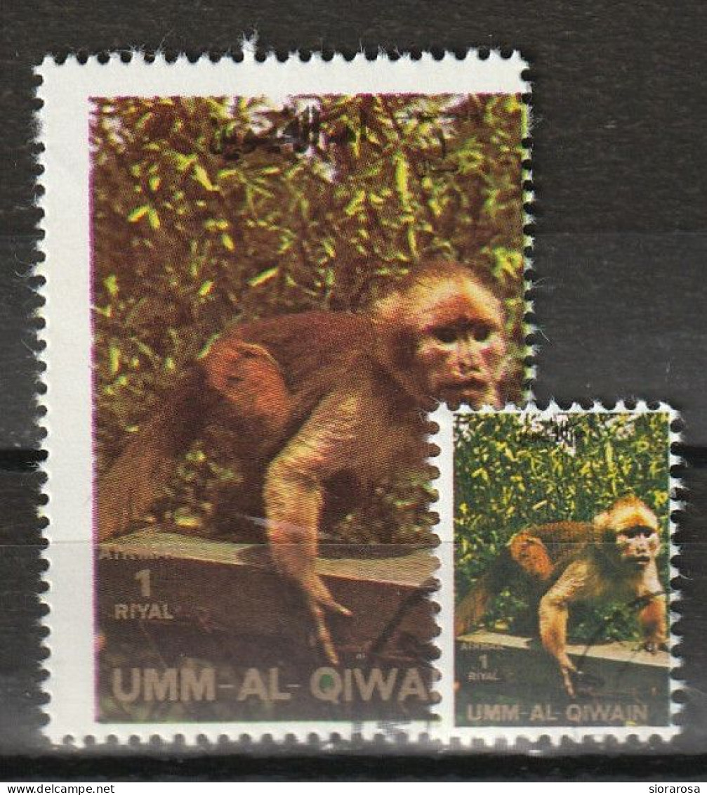 Umm Al Qiwain 1972 Animali Selvaggi - Wild Animals - Titi (Callicebinae) + Ministamp CTO - Chimpanzés