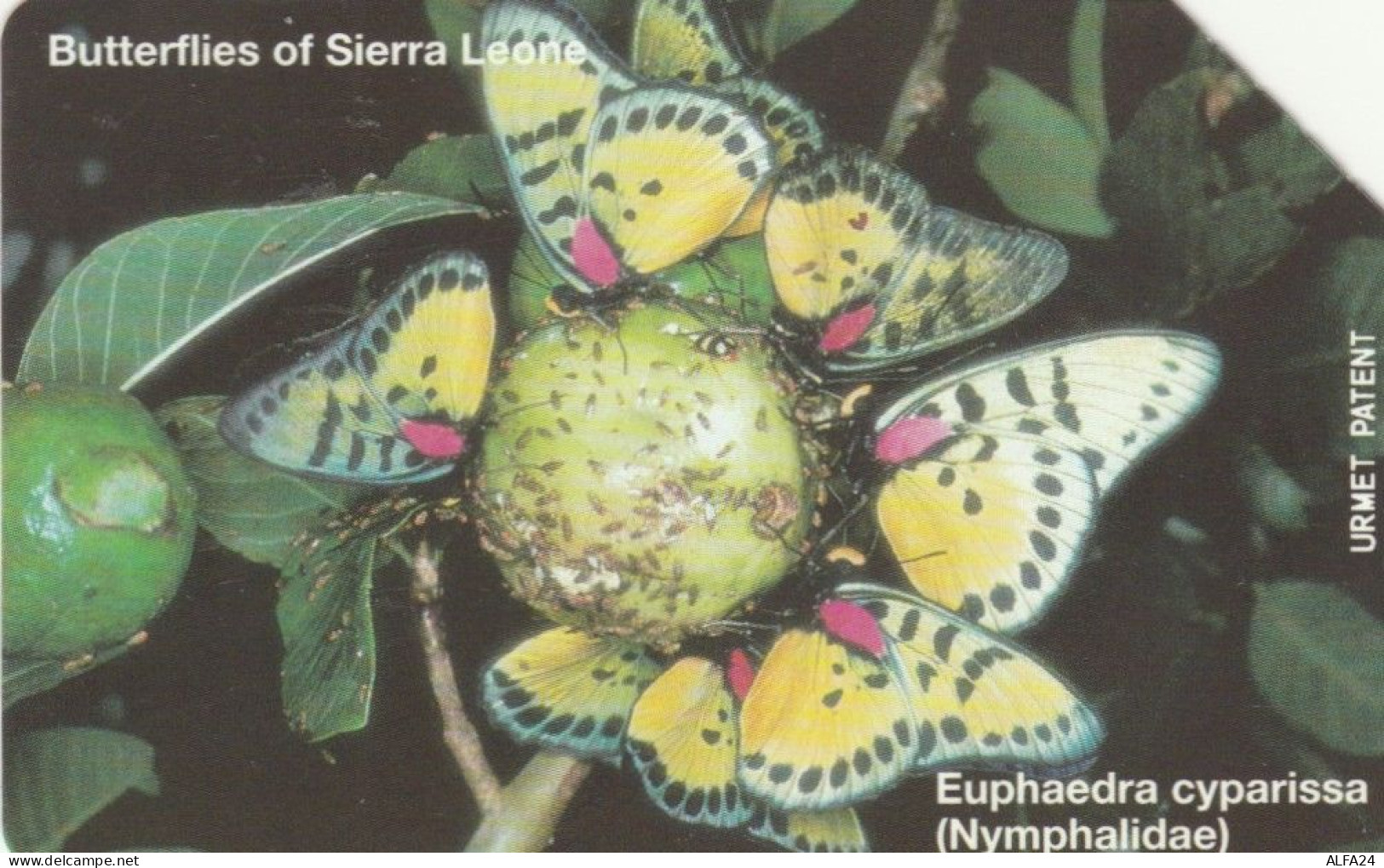 PHONE CARD SIERRA LEONE  (E95.25.4 - Sierra Leona