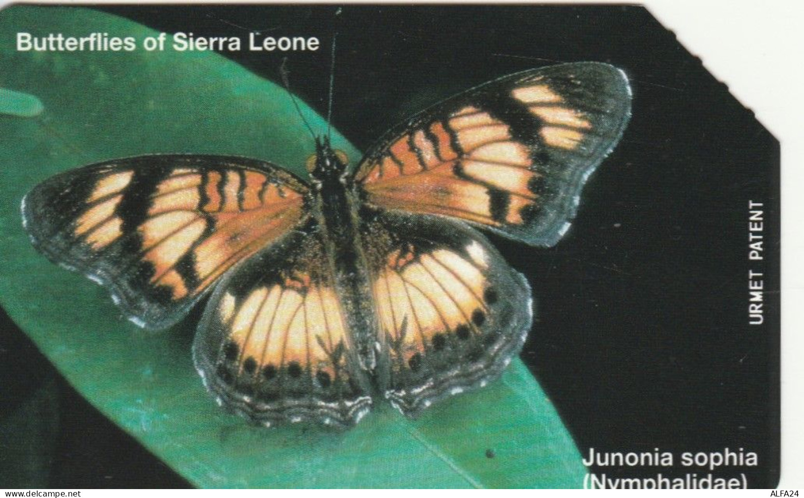 PHONE CARD SIERRA LEONE  (E95.25.5 - Sierra Leone