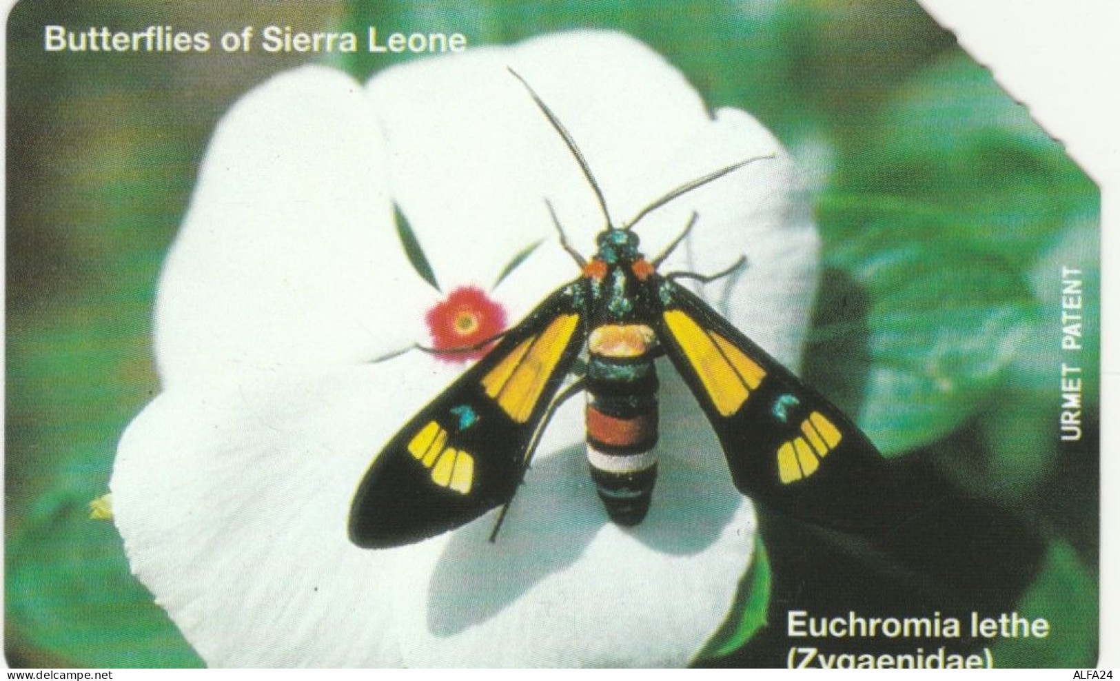 PHONE CARD SIERRA LEONE  (E95.25.6 - Sierra Leona