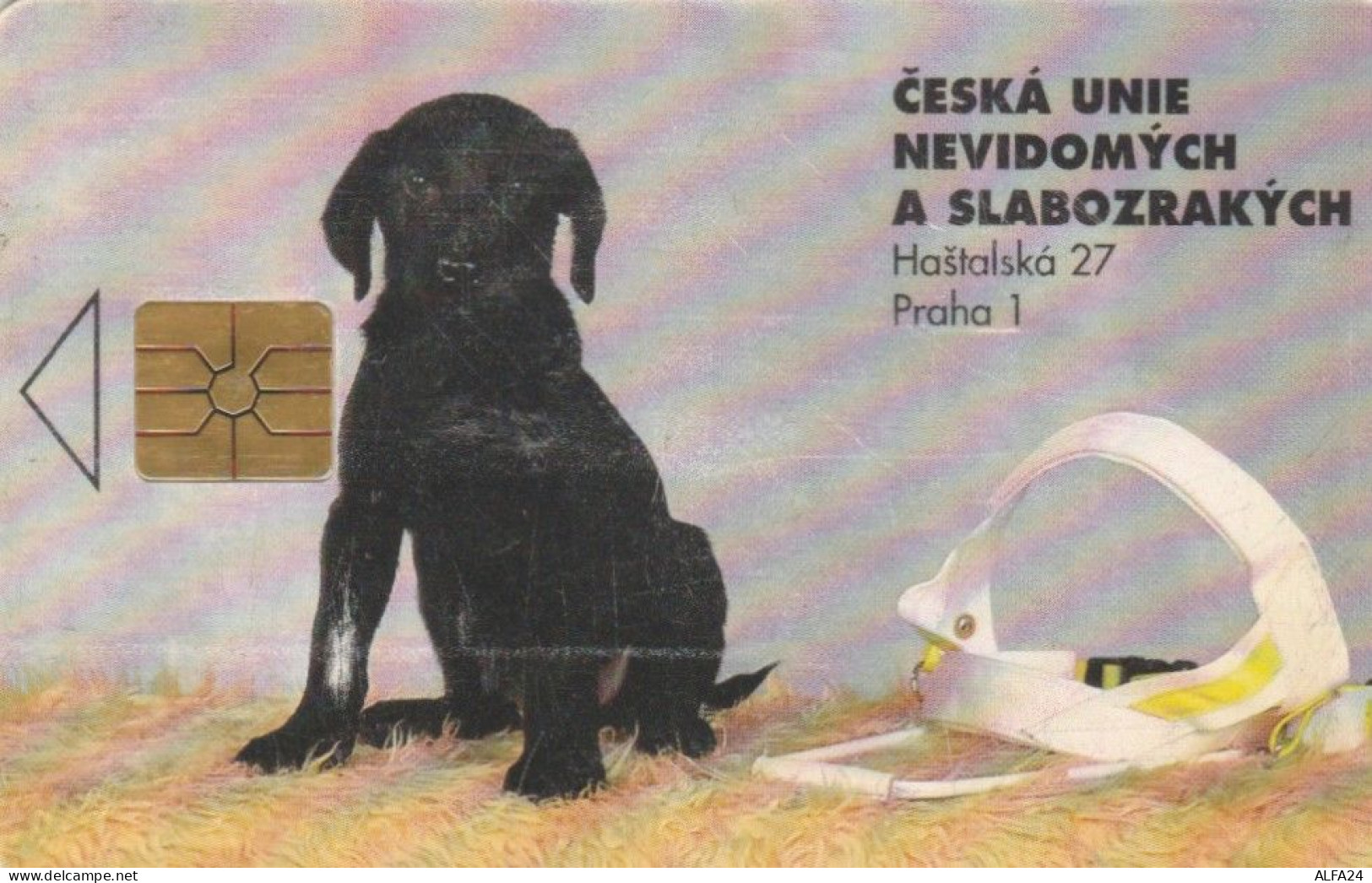 PHONE CARD REPUBBLICA CECA  (E95.19.6 - Tchéquie