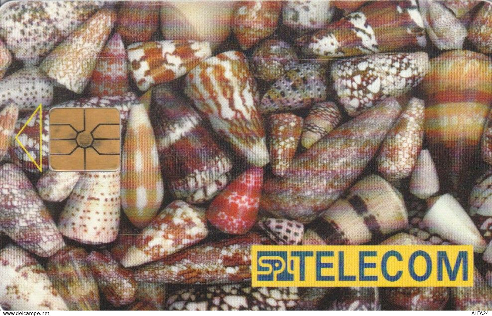 PHONE CARD REPUBBLICA CECA  (E95.16.7 - Tchéquie