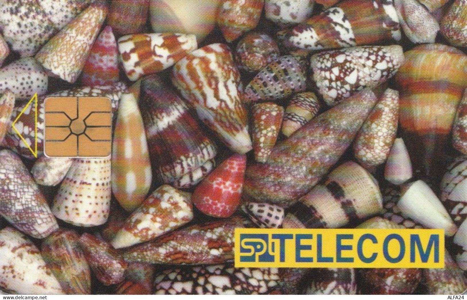 PHONE CARD REPUBBLICA CECA  (E95.15.7 - Tchéquie