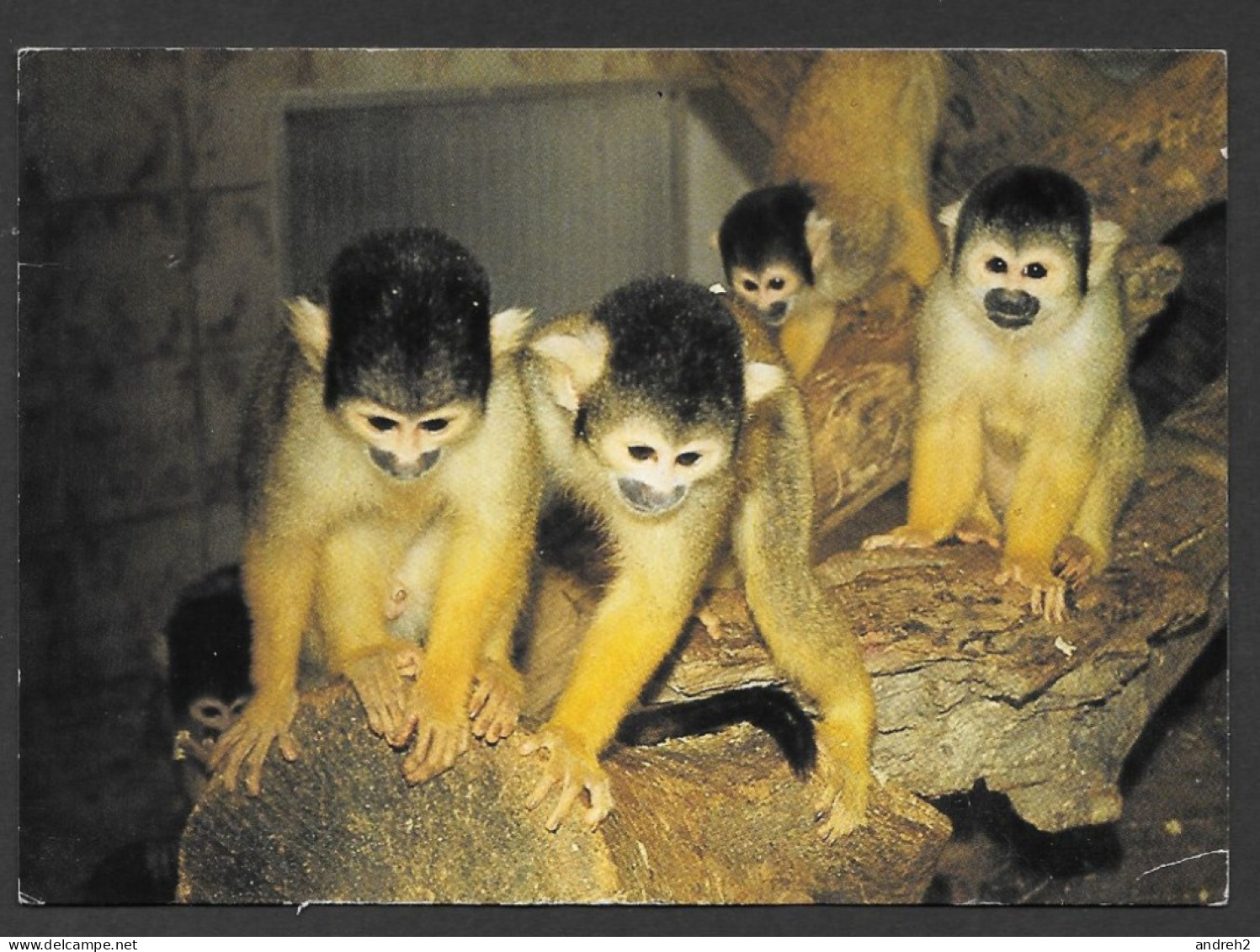 Animaux &  Singes - Monkey - Réserve Africaine De Singean - Postmarked 1993 Beaux Timbres - Uncirculated  Non Circulée - Singes