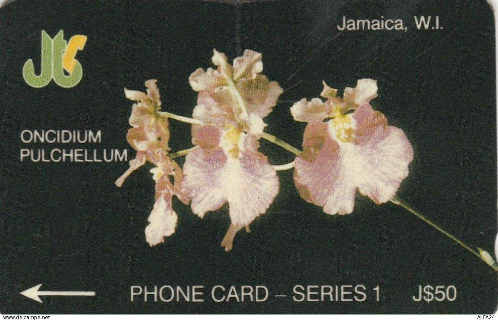 PHONE CARD GIAMAICA  (E97.23.8 - Jamaica