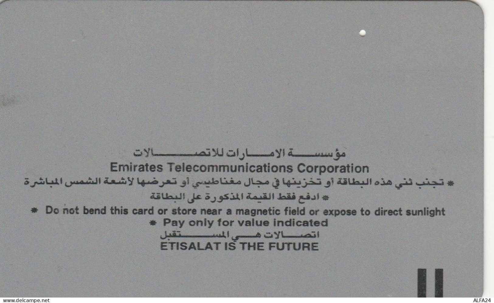 PHONE CARD EMIRATI ARABI  (E97.13.5 - United Arab Emirates