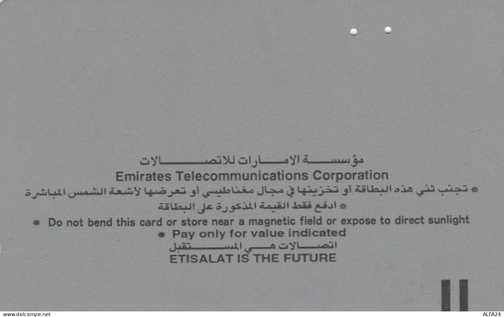 PHONE CARD EMIRATI ARABI  (E97.13.4 - Ver. Arab. Emirate
