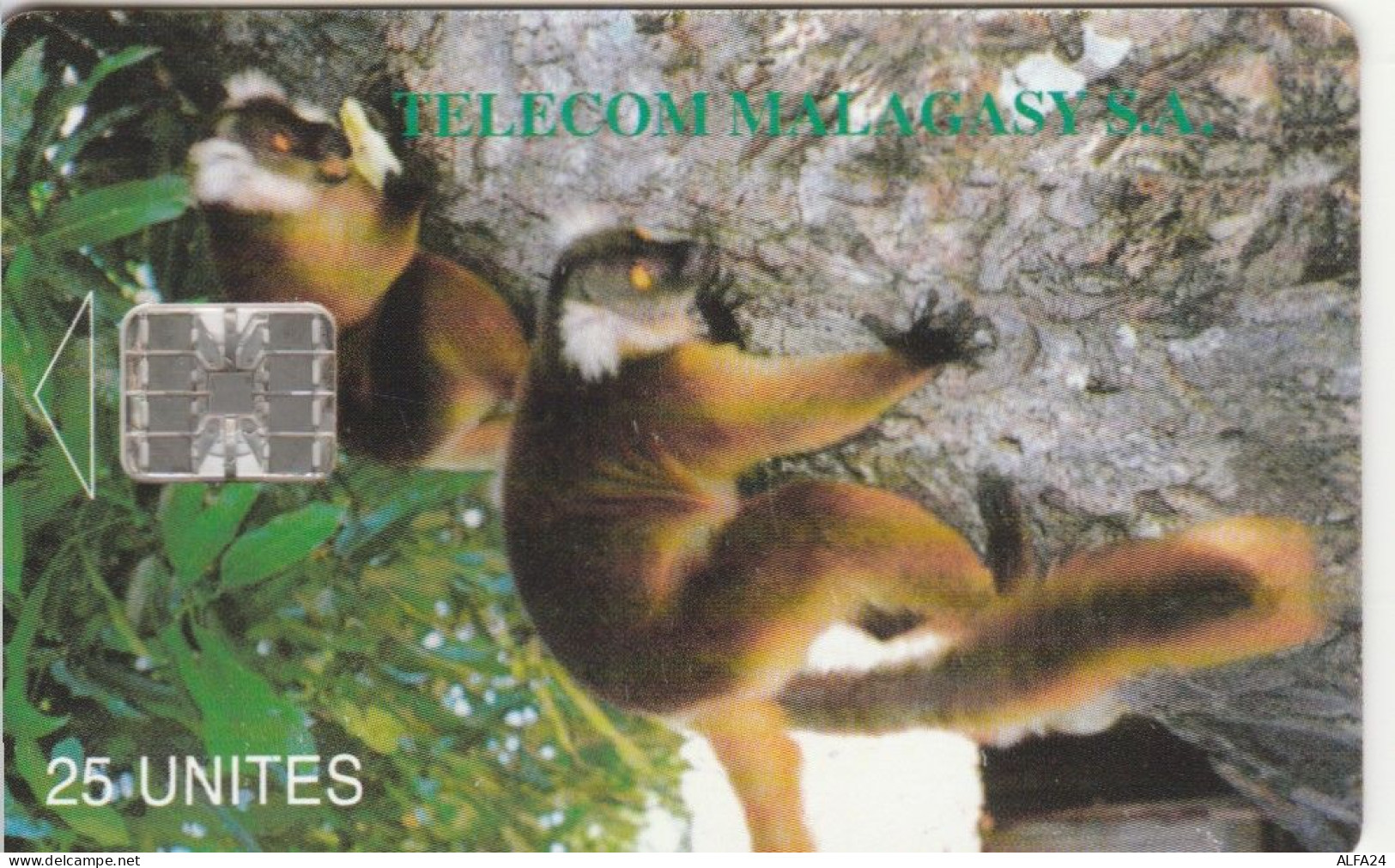 PHONE CARD MADAGASCAR  (E98.26.1 - Madagaskar