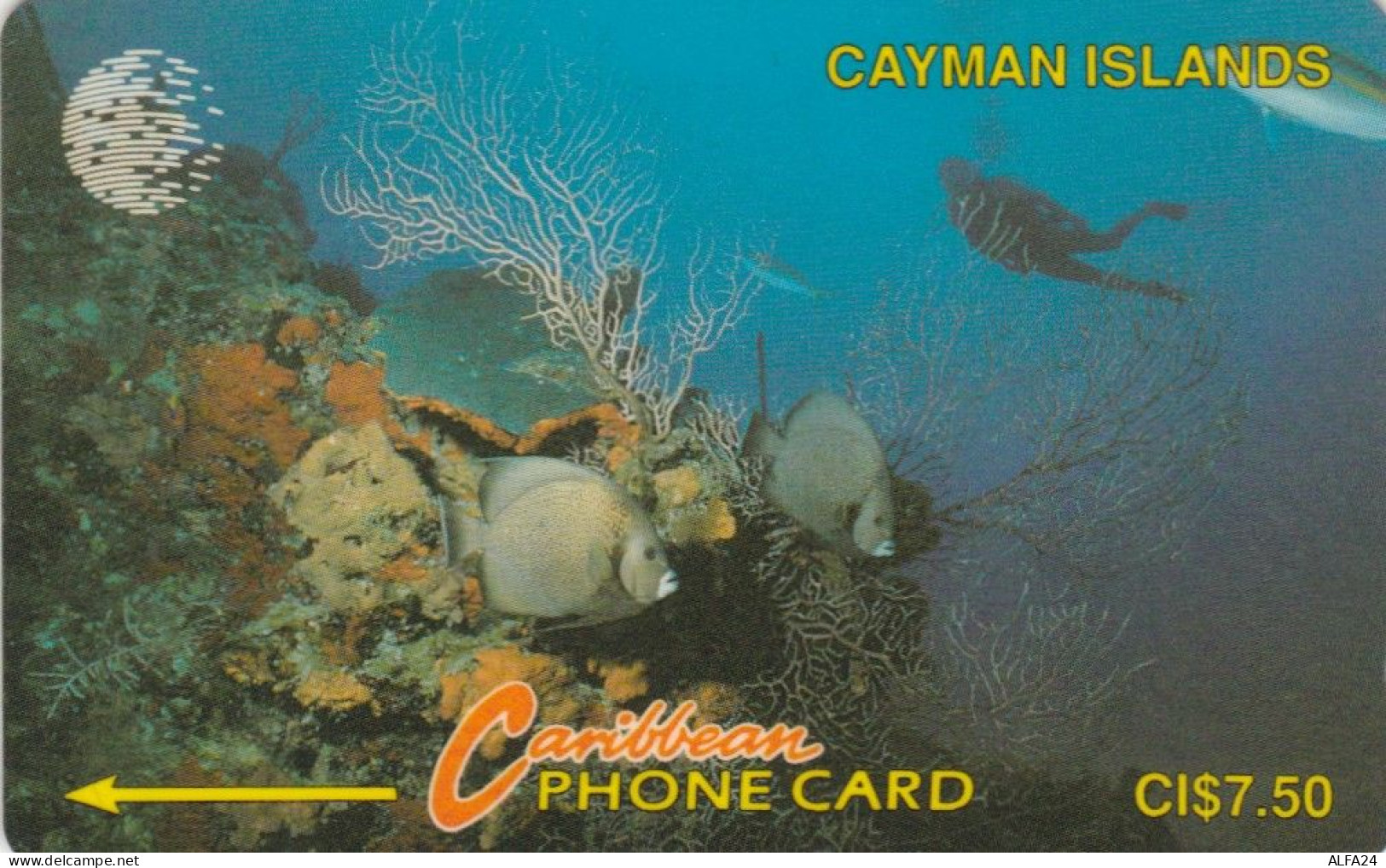 PHONE CARD CAYMAN ISLANDS  (E98.9.6 - Iles Cayman