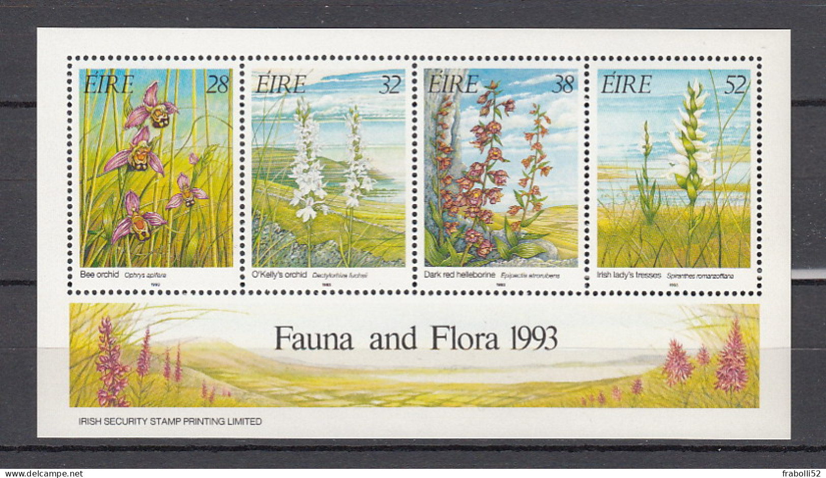 Irlanda Nuovi:  BF  N. 10 - Blocks & Sheetlets