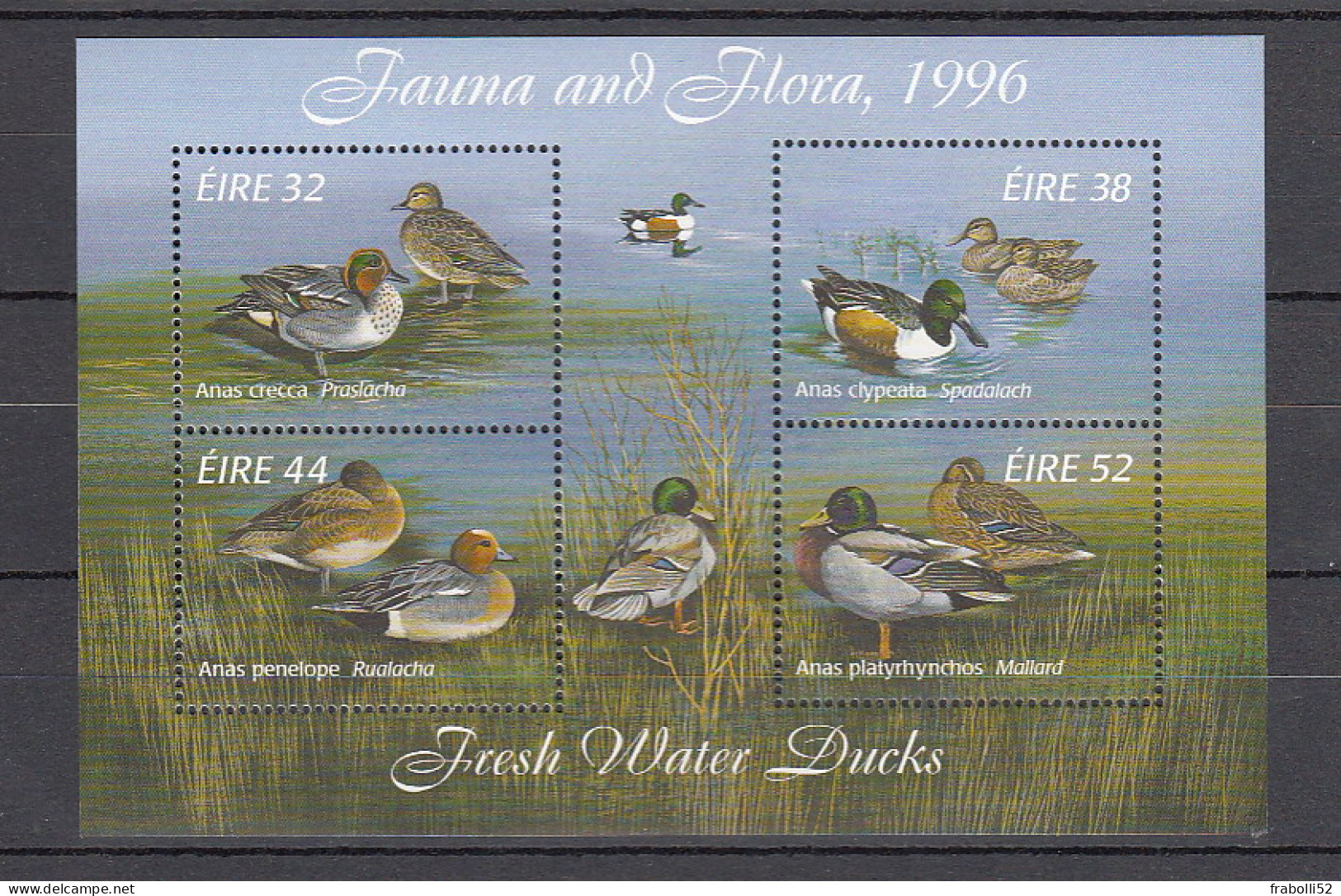 Irlanda Nuovi:  BF  N. 20 - Blocks & Sheetlets