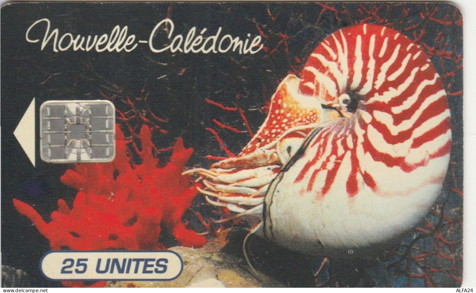 PHONE CARD NUOVA CALEDONIA  (E99.11.1 - New Caledonia