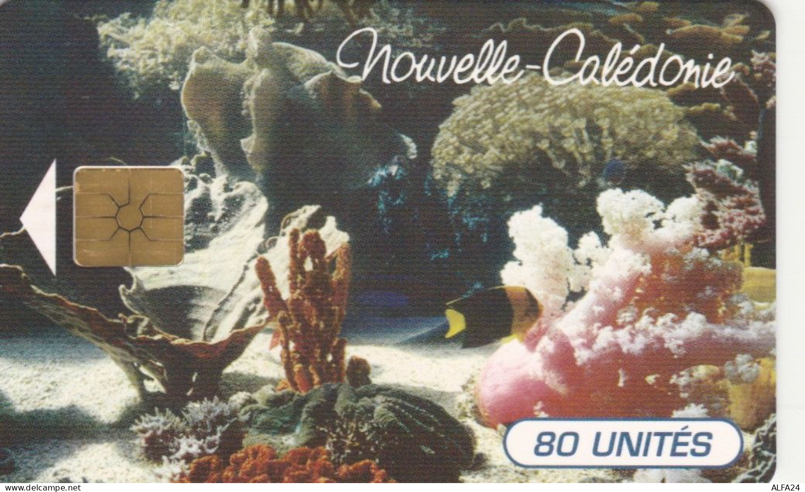 PHONE CARD NUOVA CALEDONIA  (E99.10.7 - New Caledonia