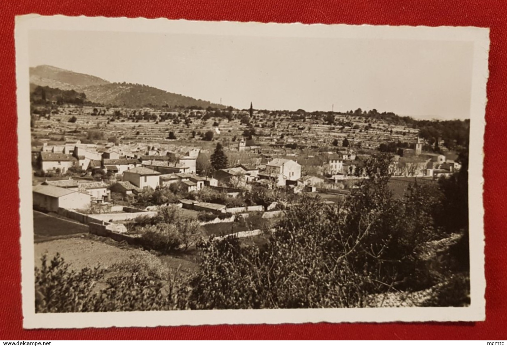 CPSM Petit Format - La Roquebrussanne -(Var) - Vue Générale - La Roquebrussanne