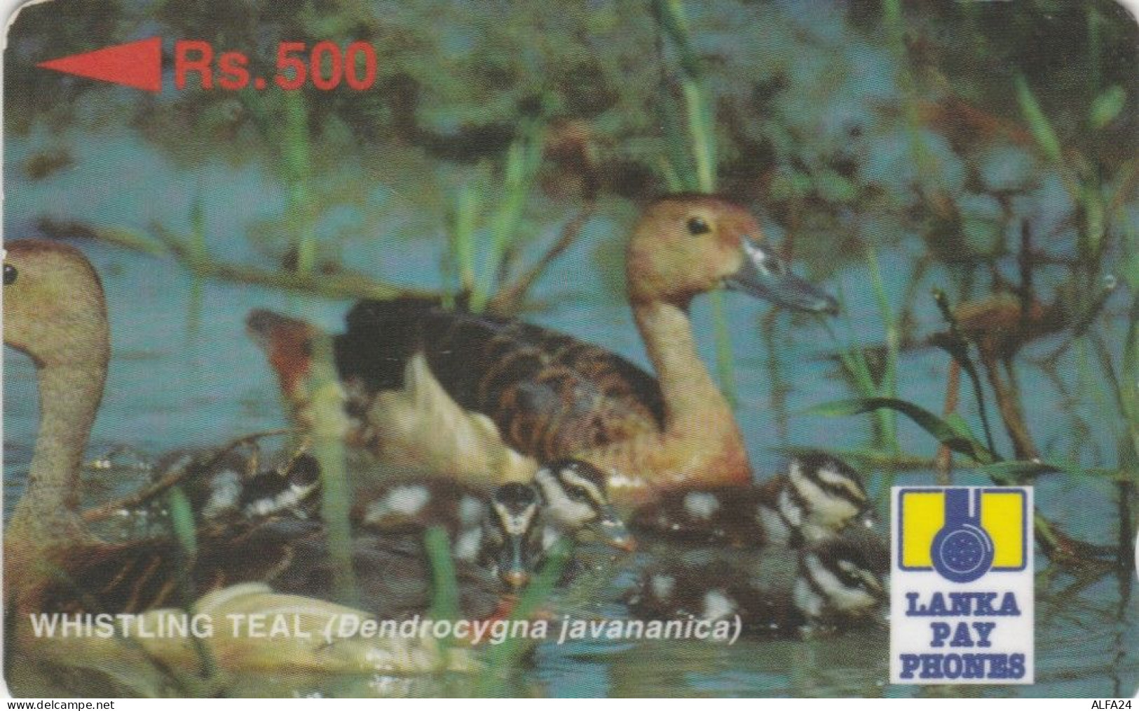 PHONE CARD SRI LANKA  (E100.6.2 - Sri Lanka (Ceilán)