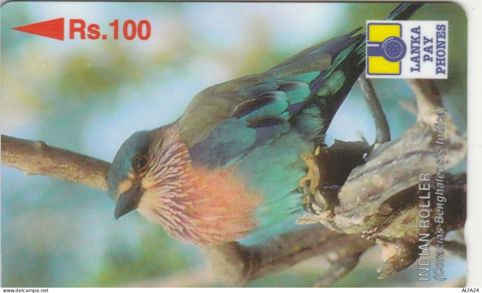 PHONE CARD SRI LANKA  (E100.6.1 - Sri Lanka (Ceylon)