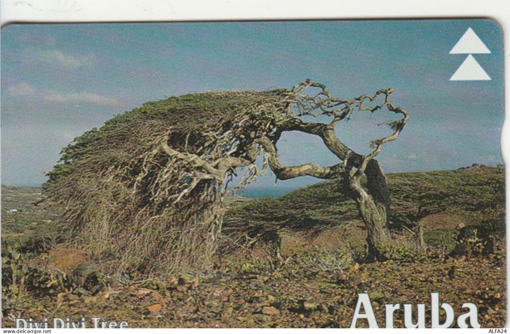 PHONE CARD ARUBA  (E102.28.5 - Aruba