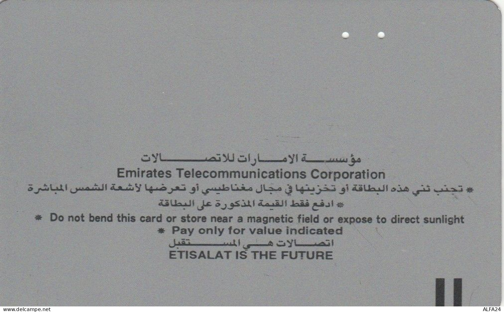 PHONE CARD EMIRATI ARABI  (E102.10.5 - Emirats Arabes Unis