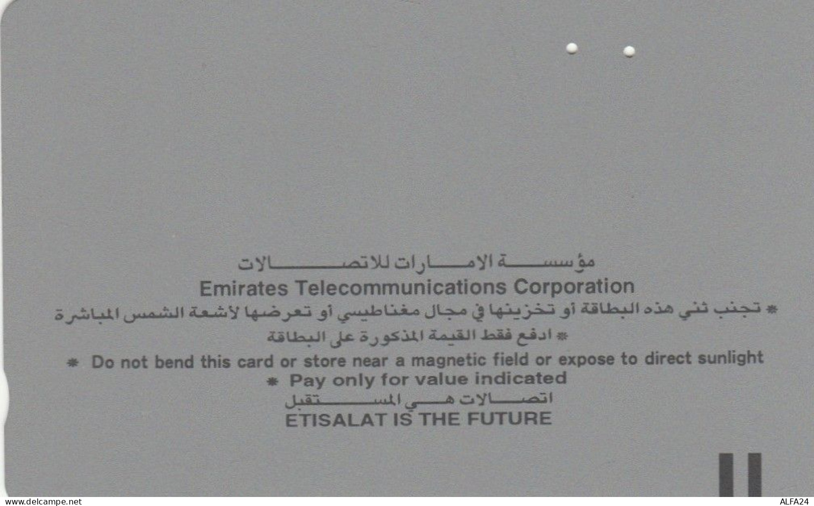 PHONE CARD EMIRATI ARABI  (E102.10.4 - Emiratos Arábes Unidos