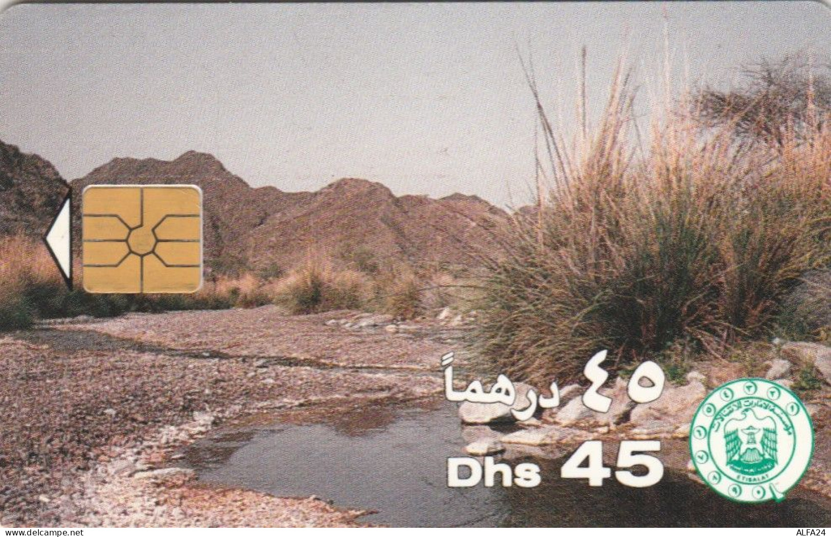 PHONE CARD EMIRATI ARABI  (E102.9.6 - Emirats Arabes Unis