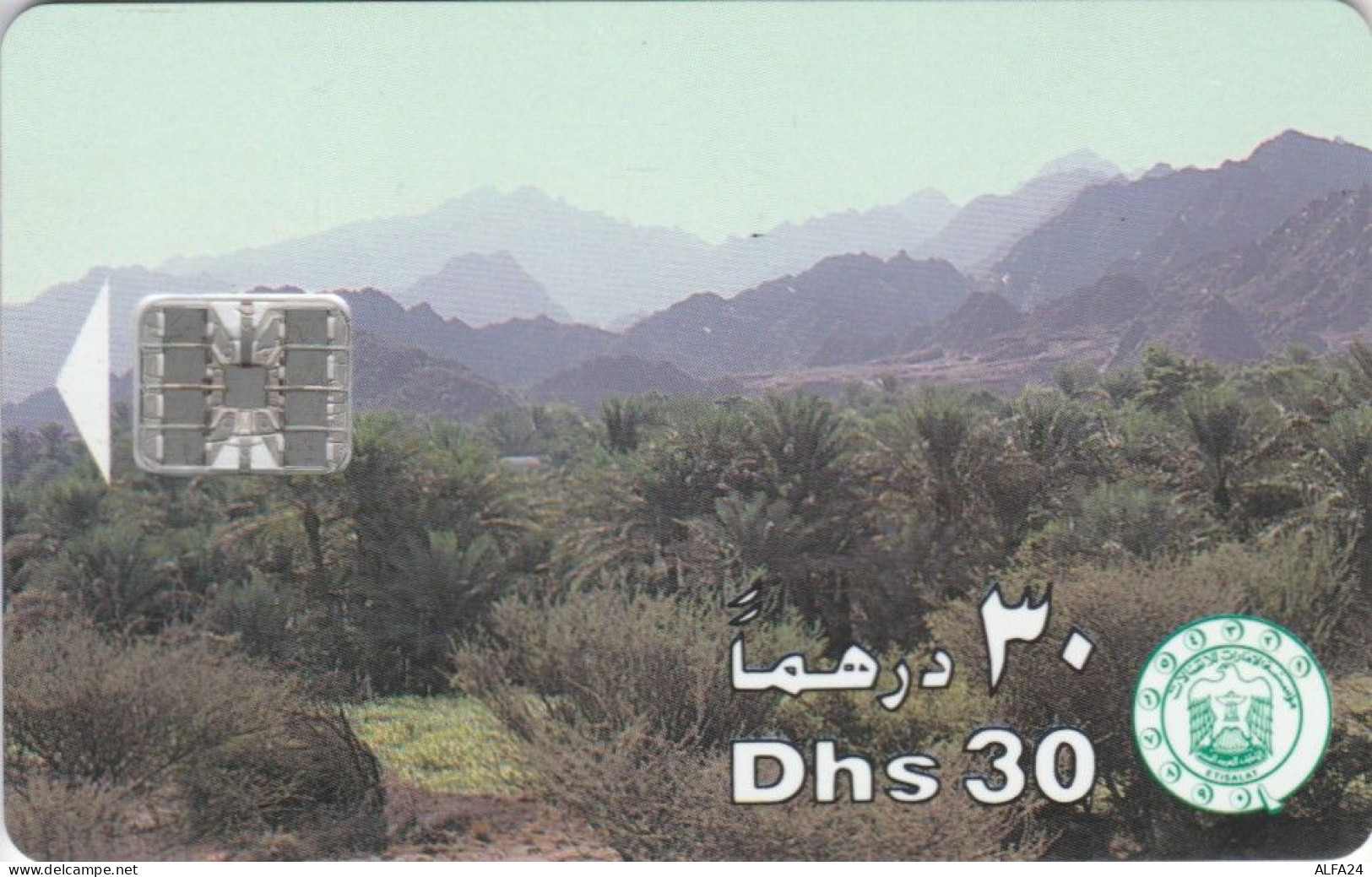 PHONE CARD EMIRATI ARABI  (E102.9.5 - Emirats Arabes Unis