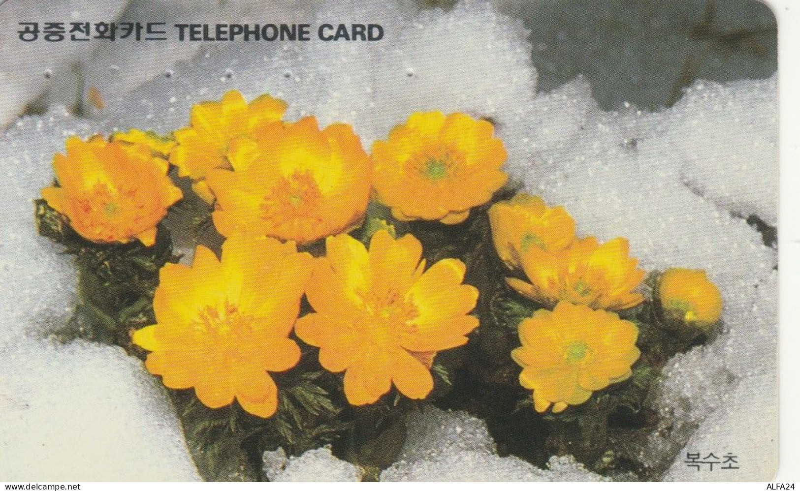 PHONE CARD COREA SUD  (E102.1.5 - Korea (Süd)