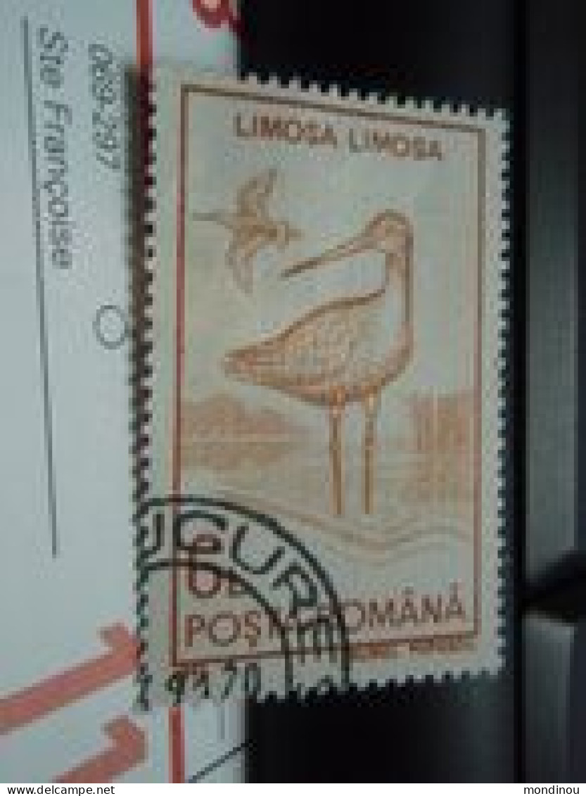 Timbre  Limosa Limosa  Barge à Queue Noire - Used Stamps