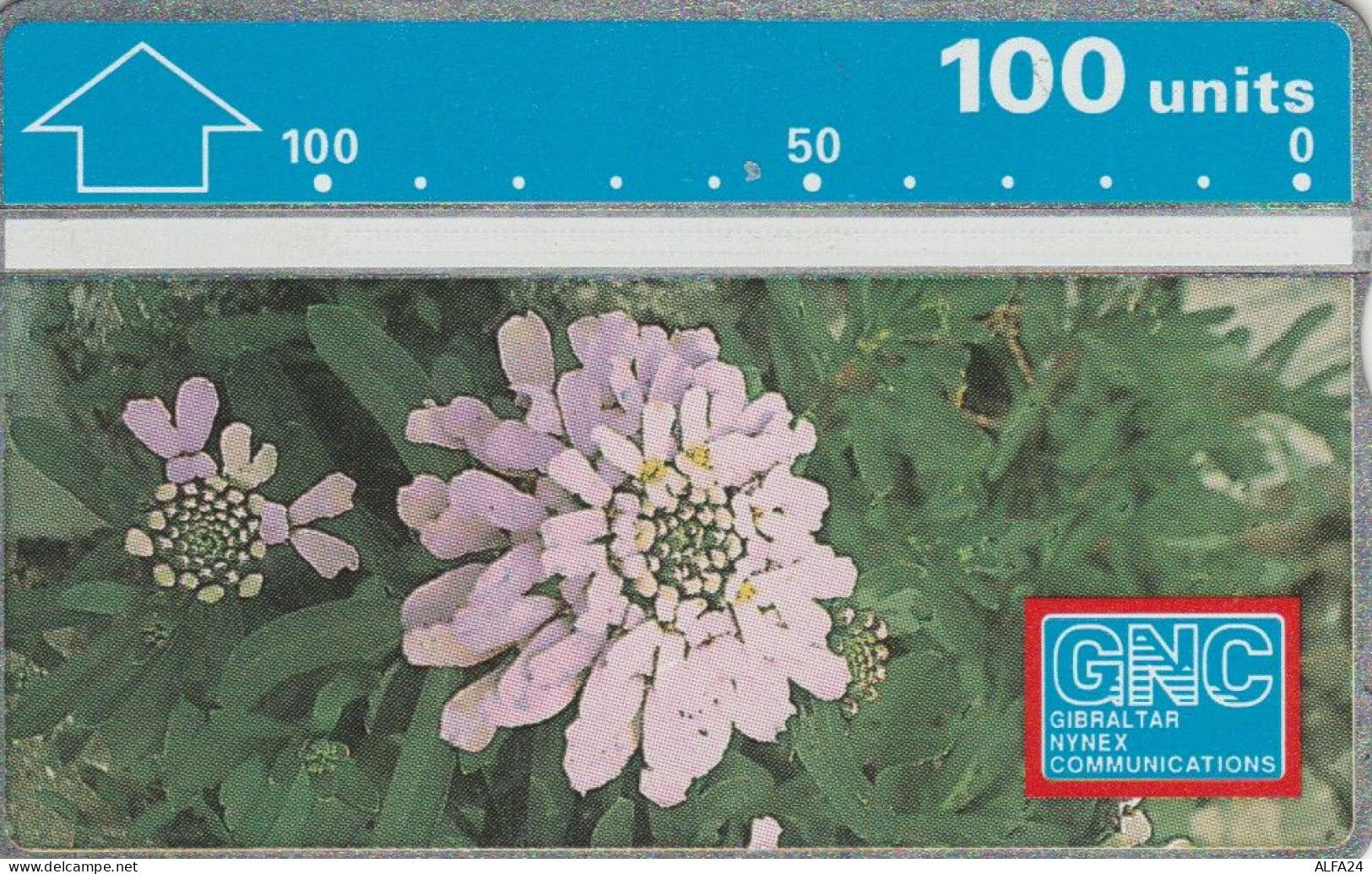 PHONE CARD GIBILTERRA (E103.57.7 - Gibraltar