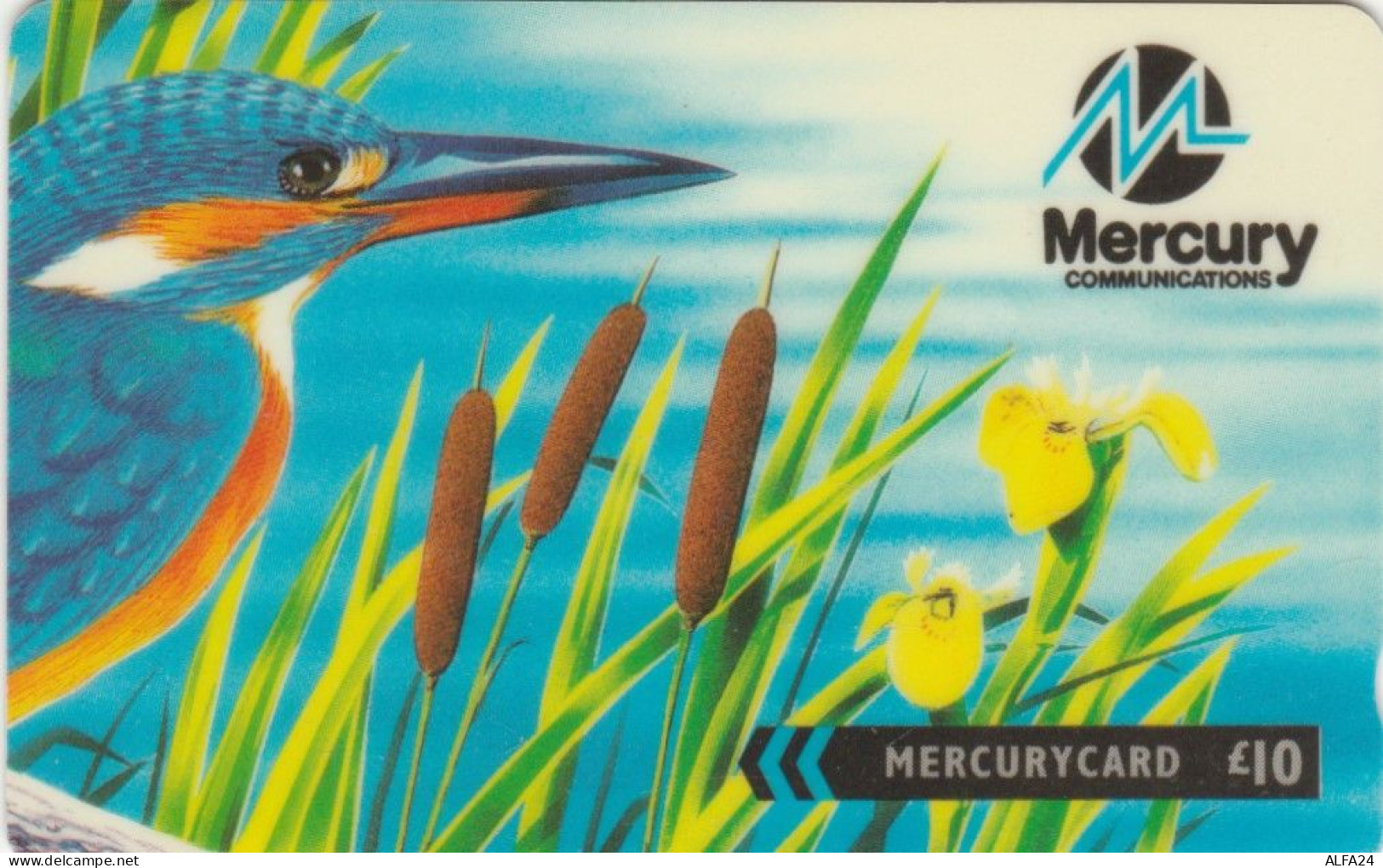 PHONE CARD REGNO UNITO MERCURY (E103.53.4 - Mercury Communications & Paytelco