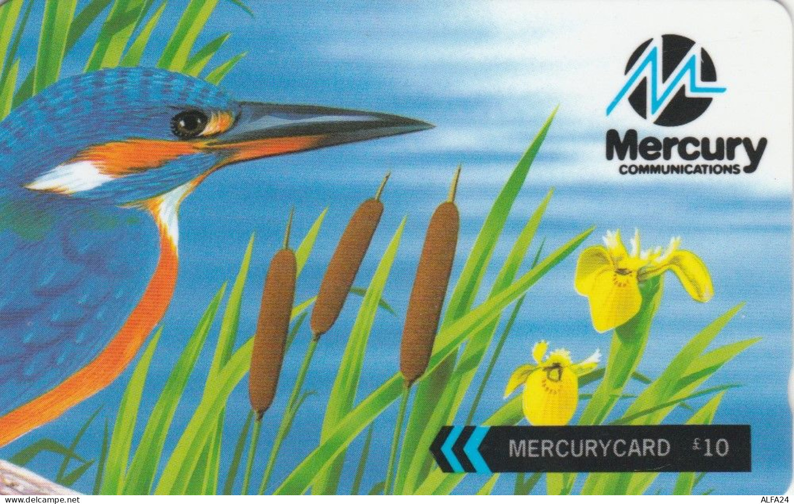 PHONE CARD REGNO UNITO MERCURY (E103.52.5 - Mercury Communications & Paytelco