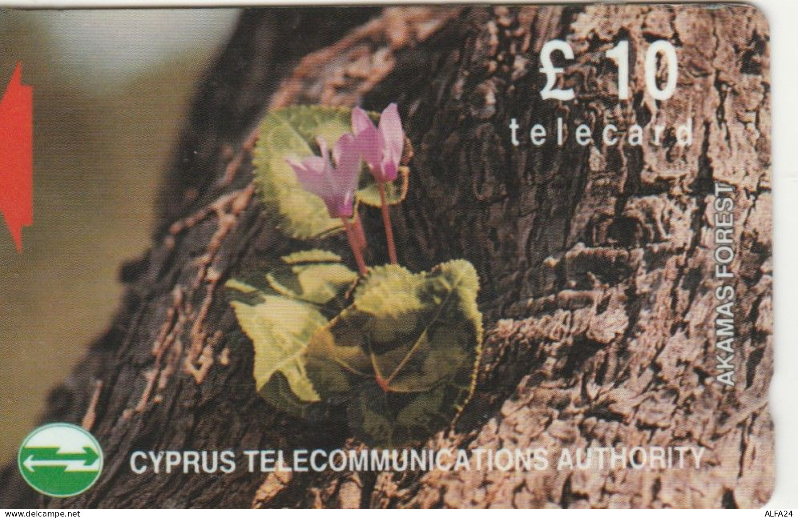 PHONE CARD CIPRO (E103.19.1 - Cyprus