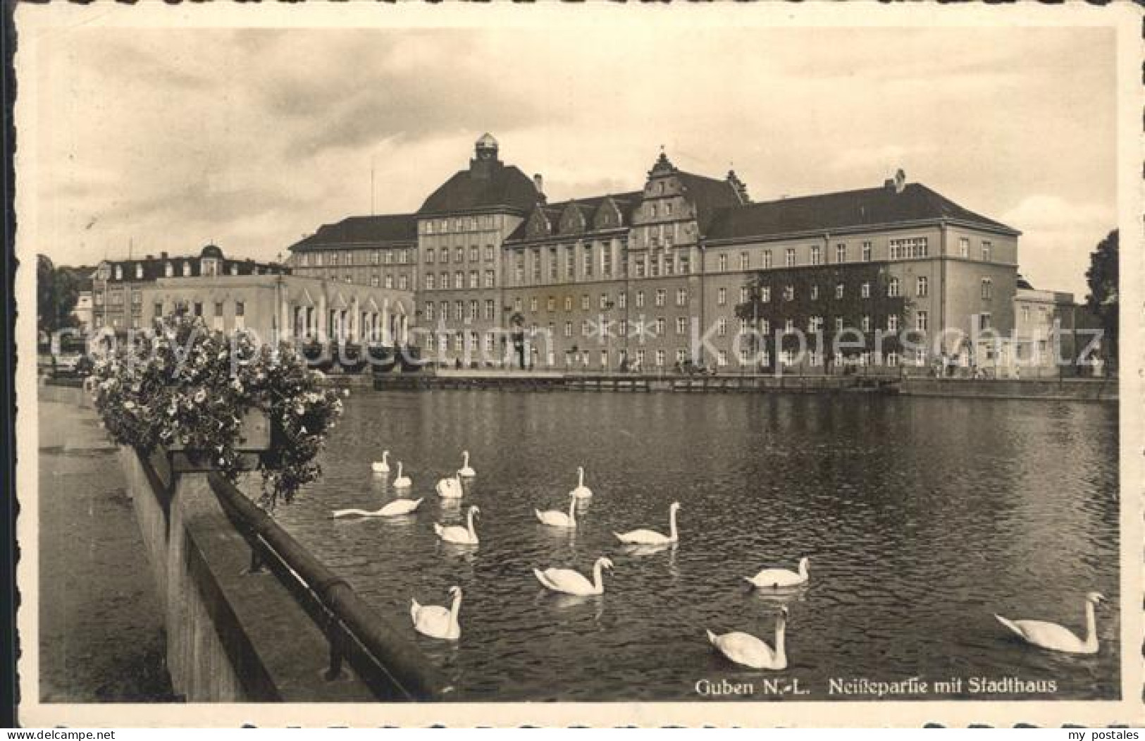 42220076 Guben Neissepartie Mit Stadthaus Schwaene Guben - Guben