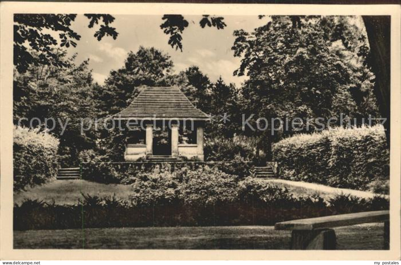 42220065 Senftenberg Niederlausitz Idyll Im Stadtpark Senftenberg - Brieske