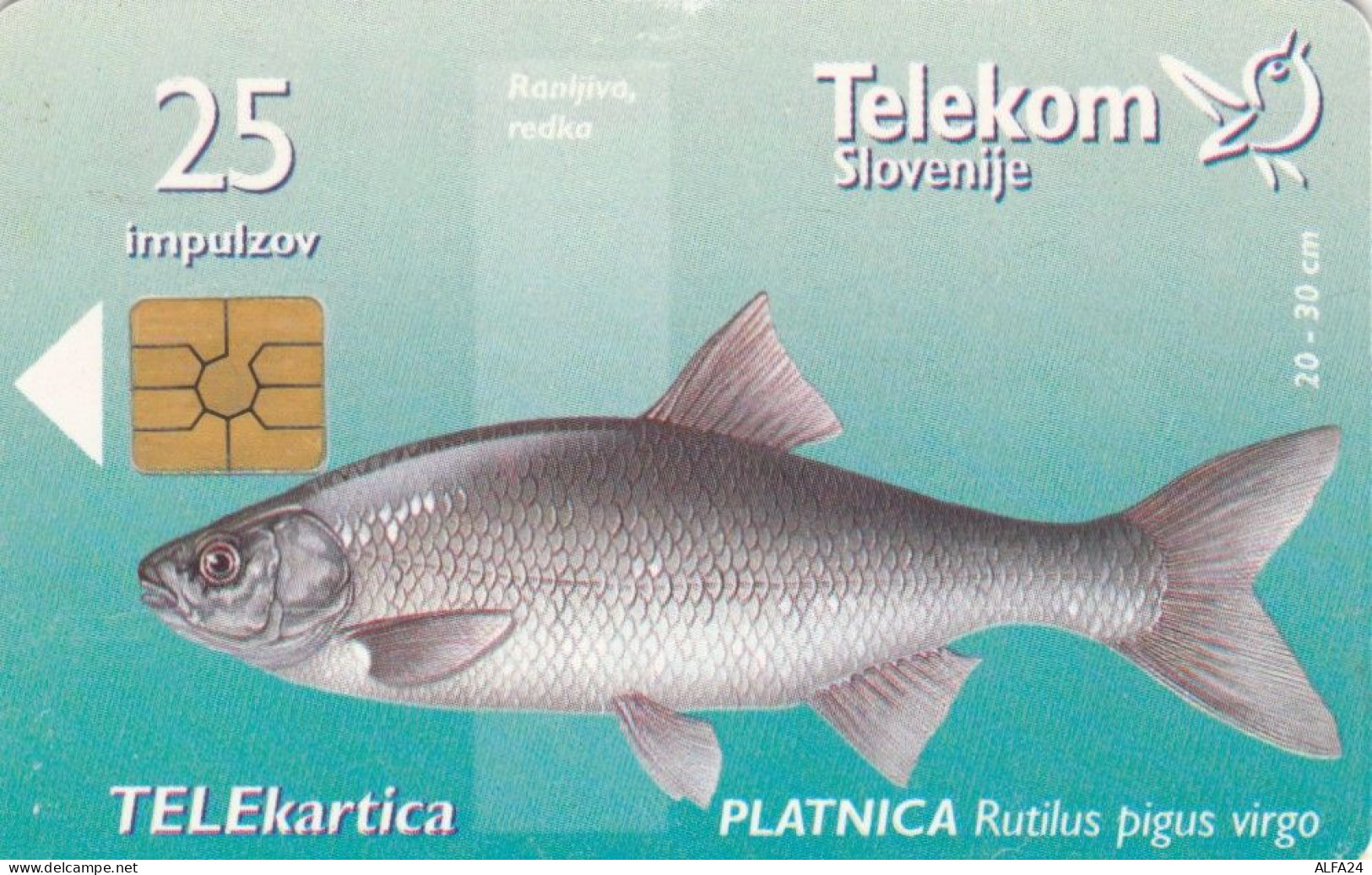 PHONE CARD SLOVENIA (E104.49.8 - Slovenia