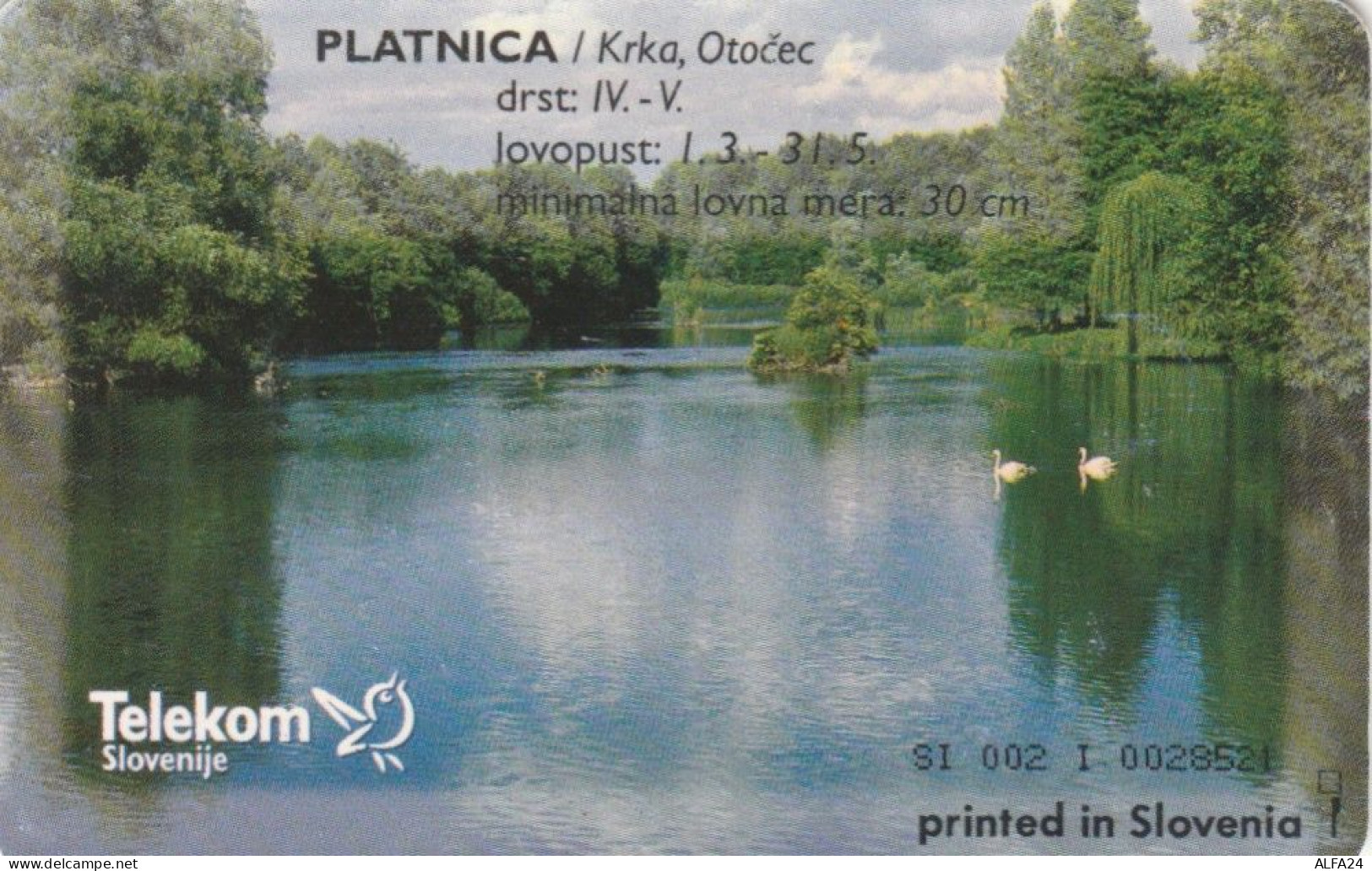 PHONE CARD SLOVENIA (E104.49.8 - Slovenia