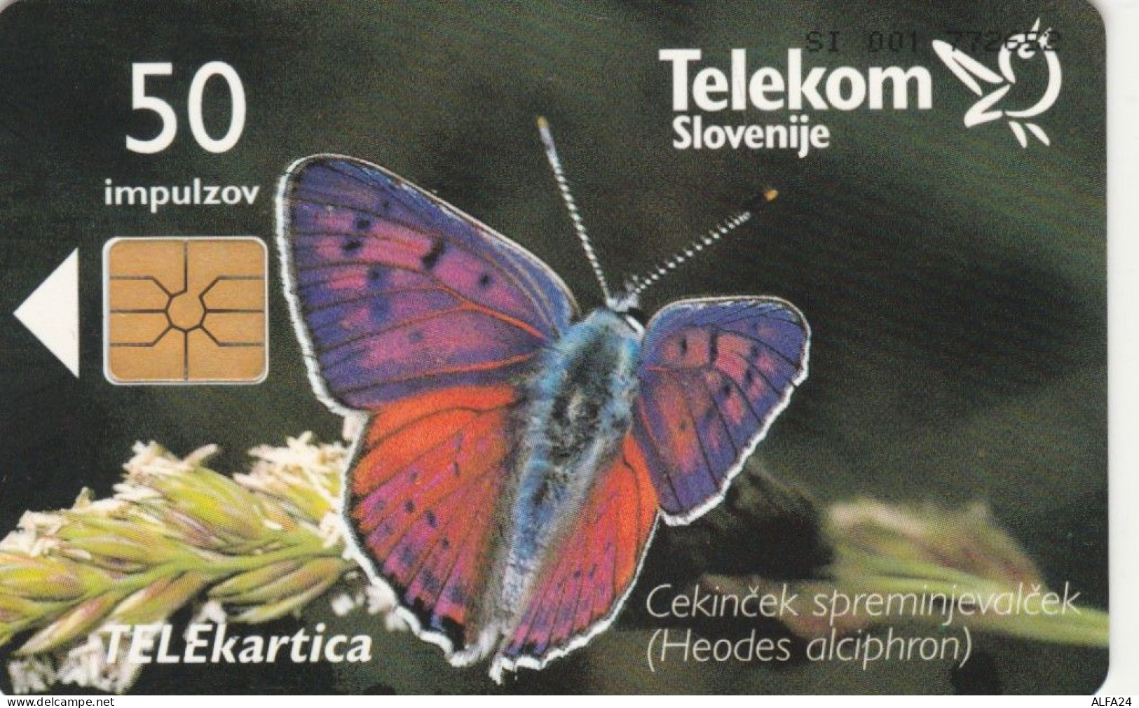 PHONE CARD SLOVENIA (E104.48.8 - Slovenia