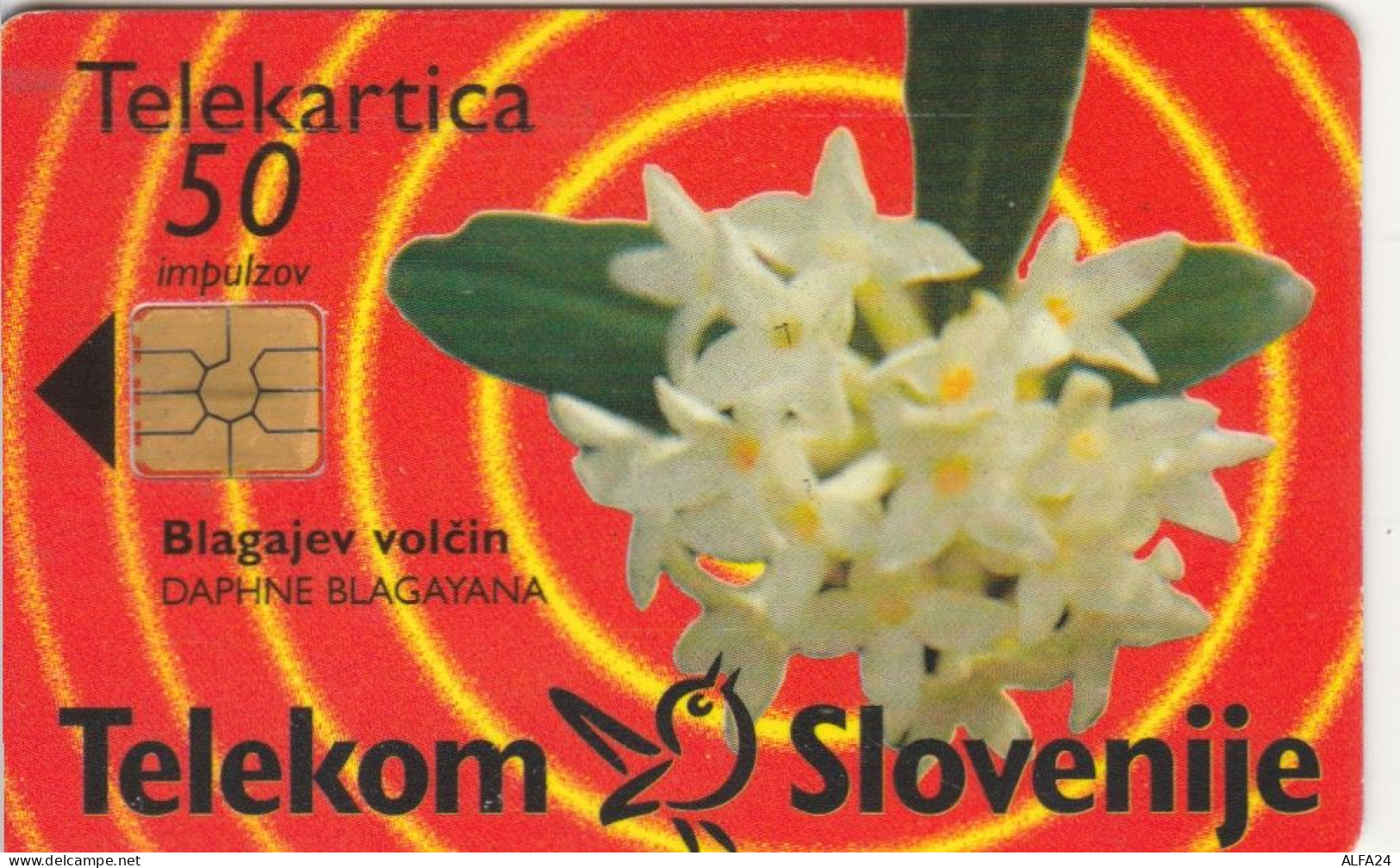 PHONE CARD SLOVENIA (E104.49.1 - Slovenia