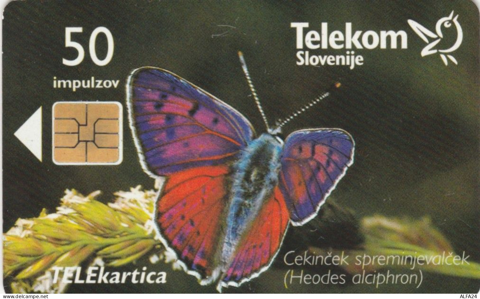 PHONE CARD SLOVENIA (E104.48.4 - Slovenia